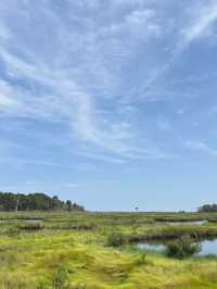 Cattus Island County Park – New Jersey