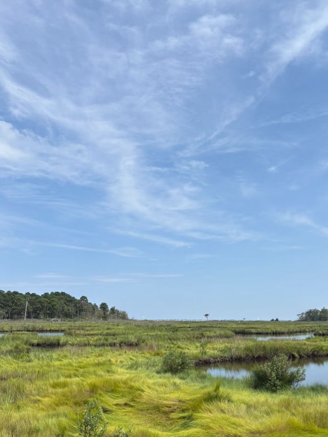Cattus Island County Park – New Jersey
