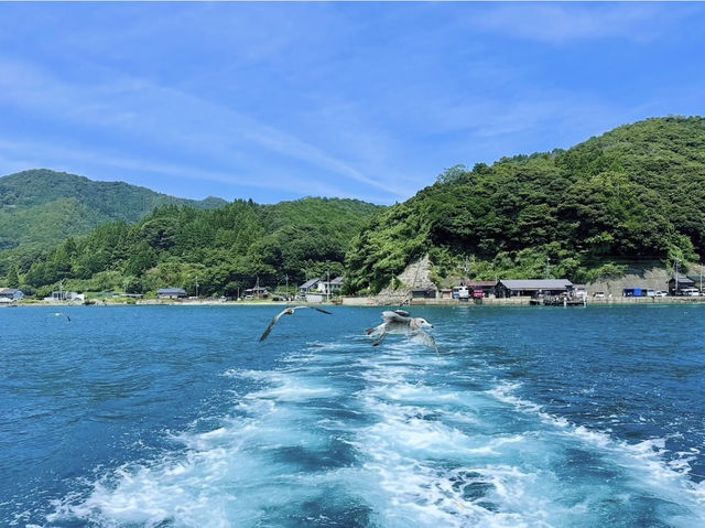 Ine Bay Kyoto 🇯🇵 สวยย So จึ้งใจมากกก 🩵