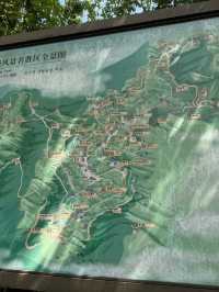 Trekking in beautiful Moganshan mountain 莫干山