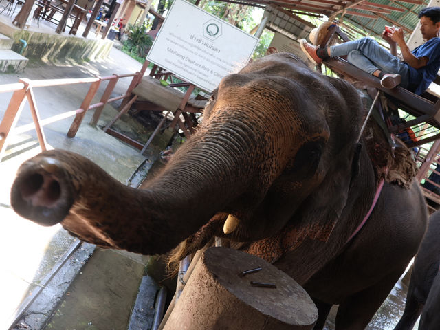タイのチェンマイめぐり