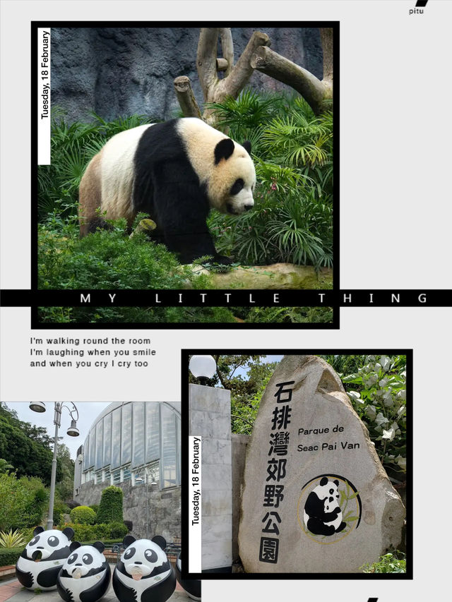 石排灣郊野公園自然探索 石排灣郊野公園自然探索
