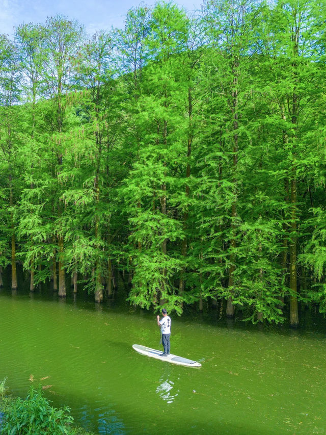 คุณไม่เคยคิดว่าจะได้เห็นมุมถนนสายรุ้ง🌈 ที่โด่งดัง คุณไม่เคยคิดว่าจะได้เห็นมุมถนนสายรุ้ง🌈 ที่โด่งดัง