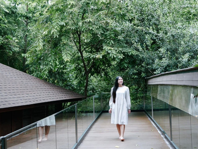 🌿 พักผ่อนริมน้ำ สูดอากาศสดชื่นที่ River Tales