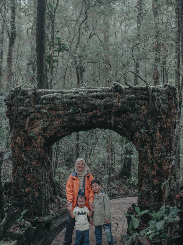 Mount Kinabalu Botanical Garden – A Hidden Gem at the Foot of the Mountain