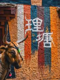 The Western Sichuan Route 