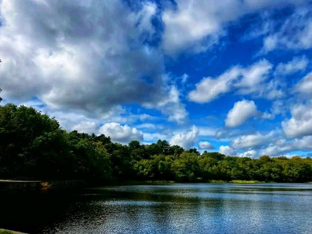 🌳 Sutton Park – Nature’s Playground in Birmingham 🌳
