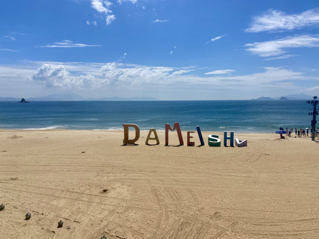 🌴椰樹下吹海風靚影打卡✨ 享受強風前夕的明媚陽光與溫柔的海浪🌊