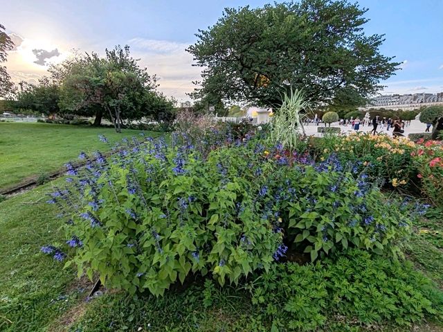 The Tuileries Garden: An Oasis in Central Paris