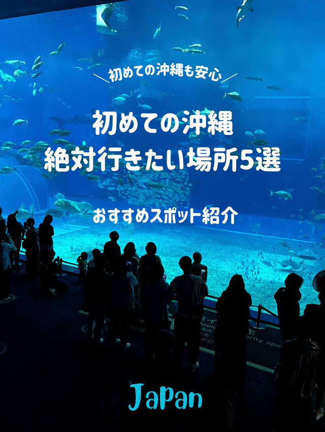 【初めての沖縄も安心🌴🌺‼️】沖縄で絶対行くべきスポット✨