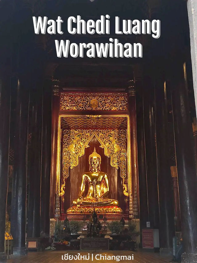วัดเจดีย์หลวงวรวิหาร(Wat Chedi Luang Worawihan)🙏 วัดเจดีย์หลวงวรวิหาร(Wat Chedi Luang Worawihan)🙏