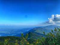 สวนยาหลวง จ.น่าน