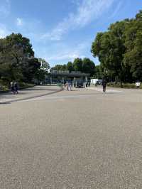 【東京都上野🇯🇵 上野恩賜公園】美術館や動物園に行くもよし‼️カフェでまったりするもよし☺️