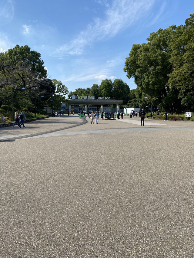 【東京都上野🇯🇵 上野恩賜公園】美術館や動物園に行くもよし‼️カフェでまったりするもよし☺️