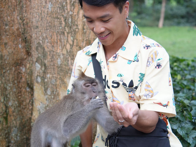 馬騮搶鏡！峇里島嘅聖猴森林保護區🐒