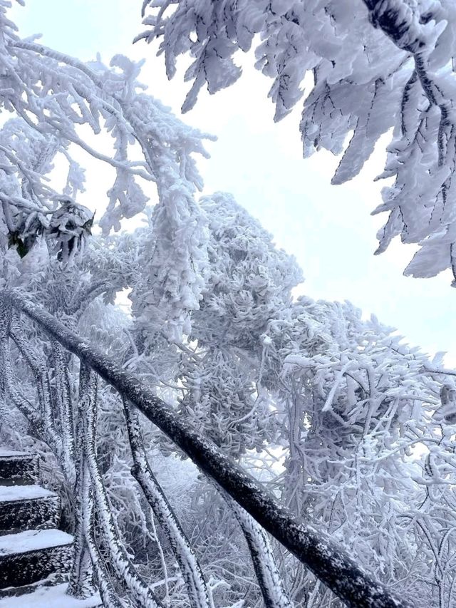 Popular Mountain