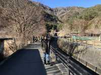 🌿 Saiko Iyashi no Sato Nenba: The Healing Village by Mount Fuji