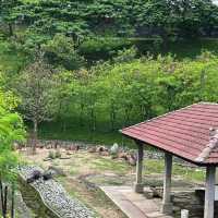 🌳🌸 Taman Botani Perdana – Kuala Lumpur’s Green Escape 🌿✨