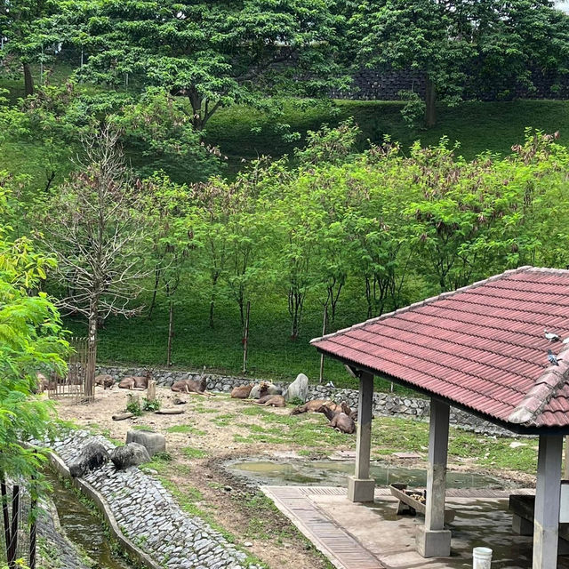 🌳🌸 Taman Botani Perdana – Kuala Lumpur’s Green Escape 🌿✨