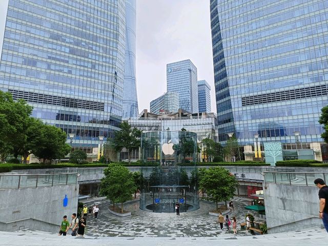 上海國際金融中心與ifc商場 上海國際金融中心與ifc商場
