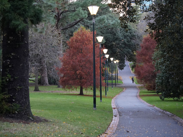  🌳 墨爾本市中心的秘密花園！Fitzroy Gardens 一日輕旅行
