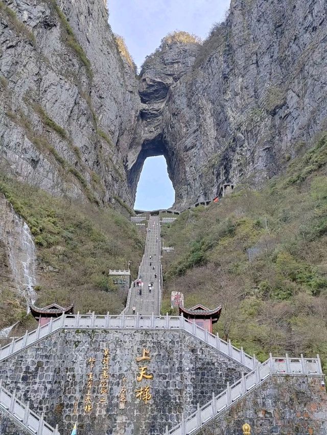 🌄天門山奇遇｜雲霧仙境x99道彎公路挑戰🚗