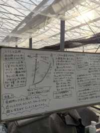 【淡路島】本物のコアラに間近で会える！秋の魅力たっぷりスポット