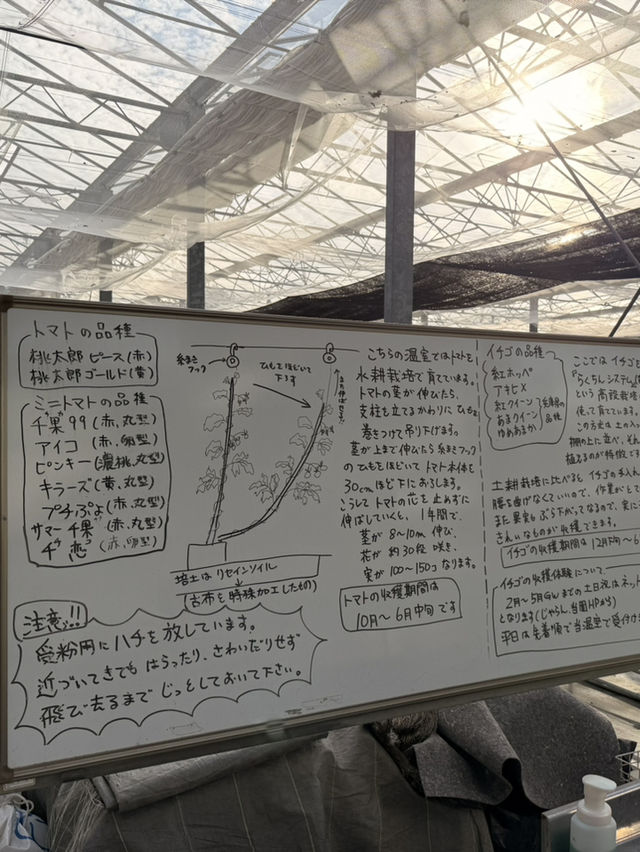 【淡路島】本物のコアラに間近で会える！秋の魅力たっぷりスポット