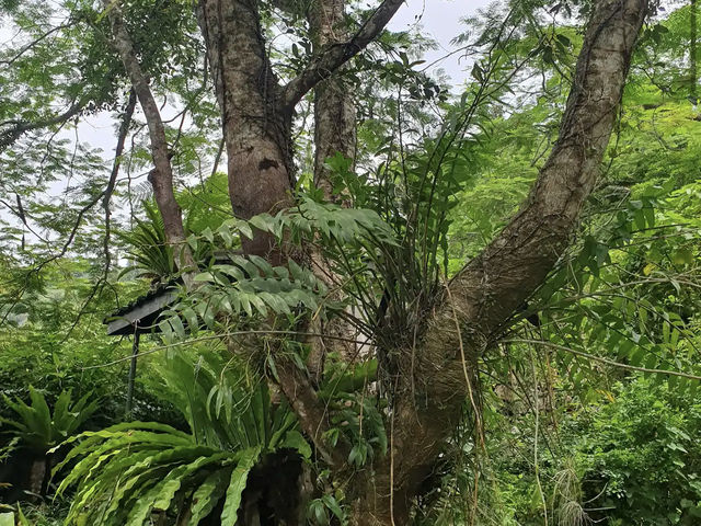 Kadoorie Farm and Botanic Garden