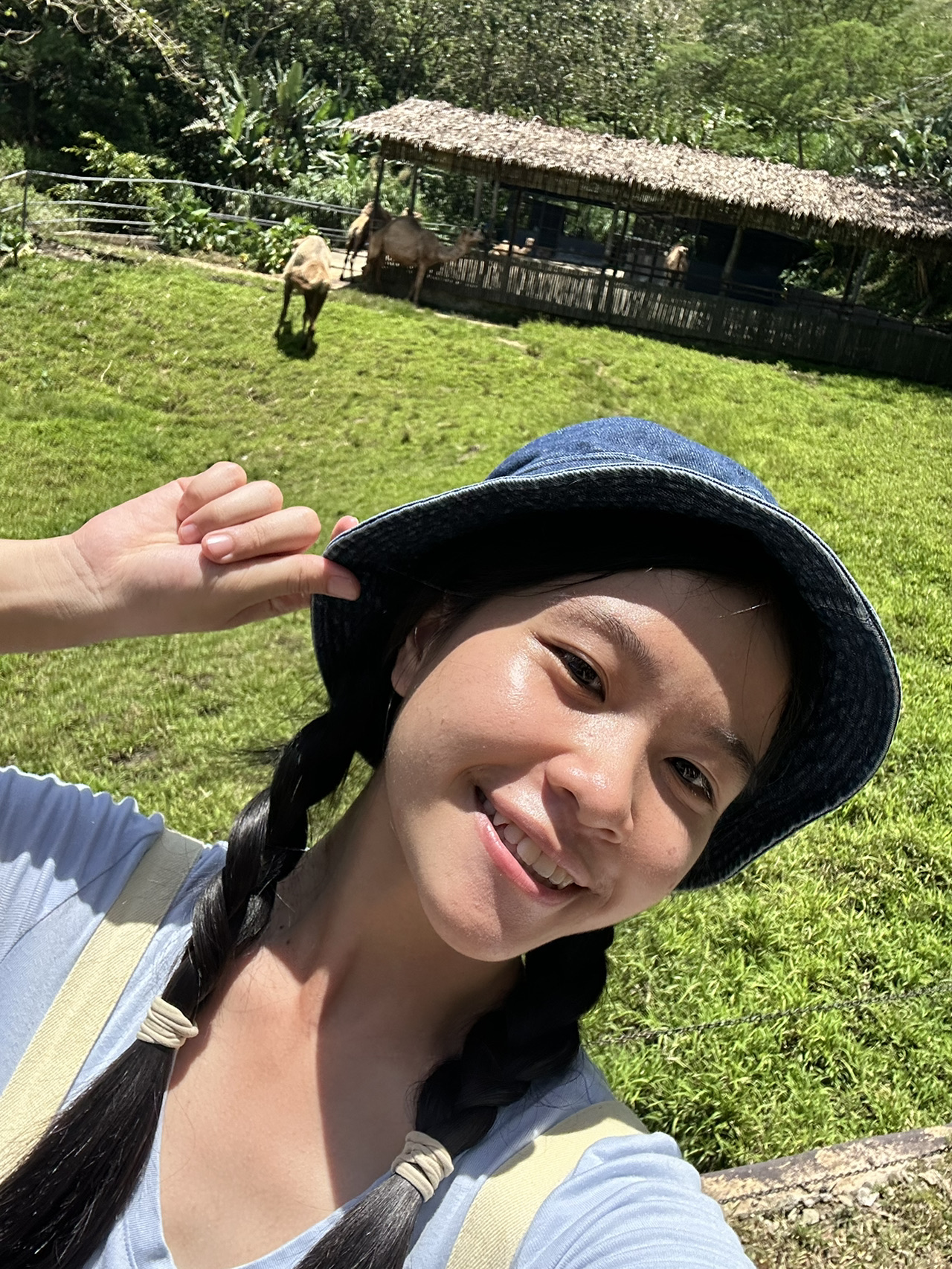 Khám phá thế giới động vật hoang dã tuyệt vời tại Công viên Safari Cebu 🌴🌞