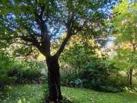 Claude Monet's House and Gardens - Giverny