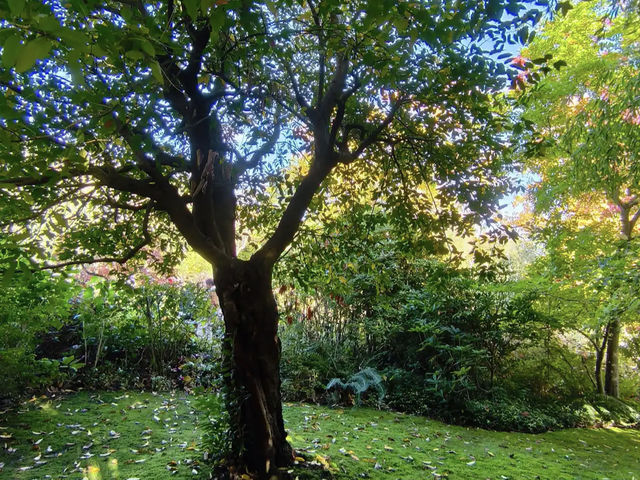 Claude Monet's House and Gardens - Giverny