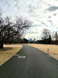 Shinjuku Gyoen National Garden 🌸