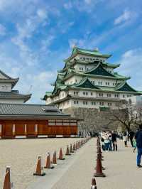 Nagoya Castle 🇯🇵 ปราสาทนาโกย่า