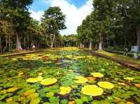 SSR Botanic Garden - Mauritius 