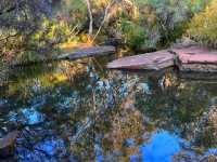 🌿 Nature’s Hidden Gem – Explore the Serenity of Roley Pool Reserve