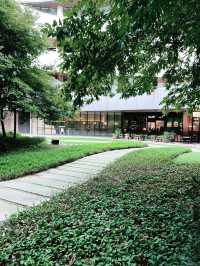 The Starling: A Unique Mall in the Heart of a Park 
