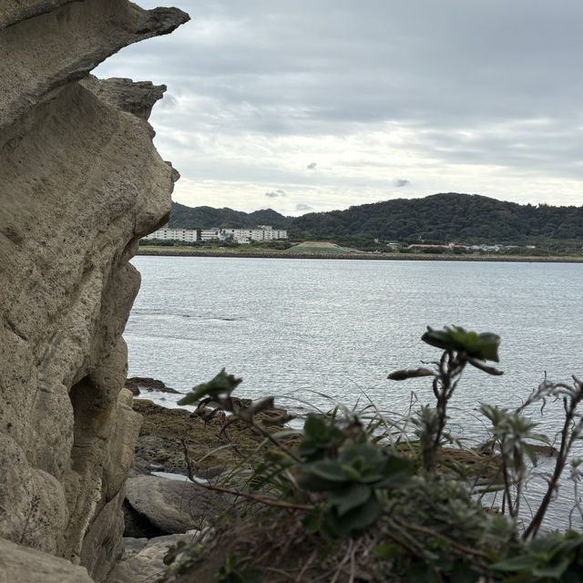 【千葉/館山🇯🇵】歩いて渡れる奇跡の無人島🌊沖ノ島