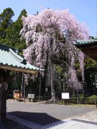 【宮城】仙台東照宮