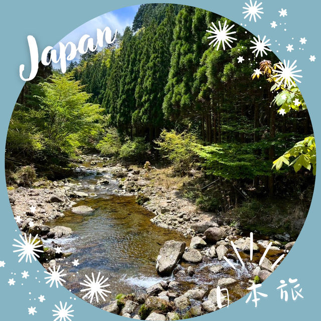【和歌山】熊野古道⛰️ 中辺路 ― 小雲取越と大雲取越の違いを歩く  【和歌山】熊野古道⛰️ 中辺路 ― 小雲取越と大雲取越の違いを歩く