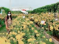 งานเมล็ดพันธุ์ บริษัทศรแดง