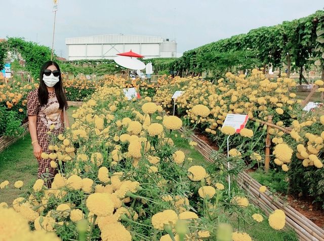 งานเมล็ดพันธุ์ บริษัทศรแดง