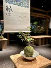🖼 Art That Speaks to the Soul — HERALBONY at NEWoMan Takanawa