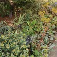 Denver Botanic Gardens