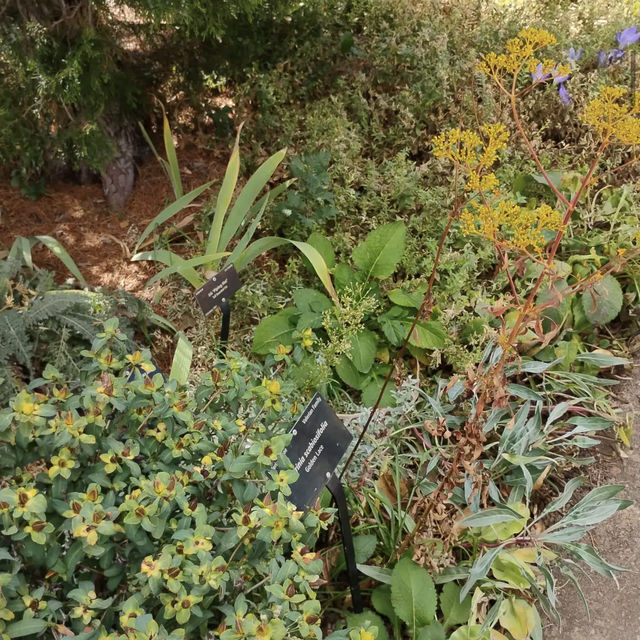 Denver Botanic Gardens