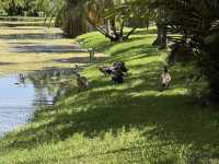 Fairchild Tropical Botanic Garden