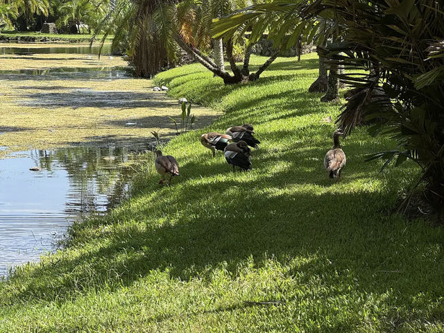 Fairchild Tropical Botanic Garden