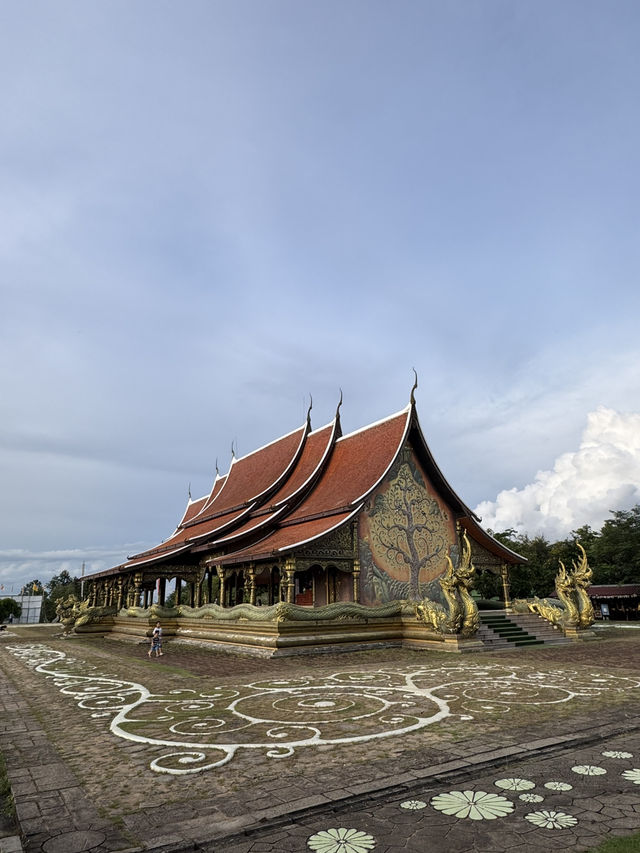 ชมต้นไม้เรืองแสง สายชิลต้องมา วัดสิรินธรวรารามภูพร้ ชมต้นไม้เรืองแสง สายชิลต้องมา วัดสิรินธรวรารามภูพร้
