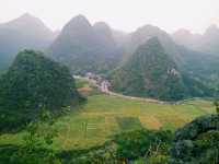 The Majestic Wanfenglin