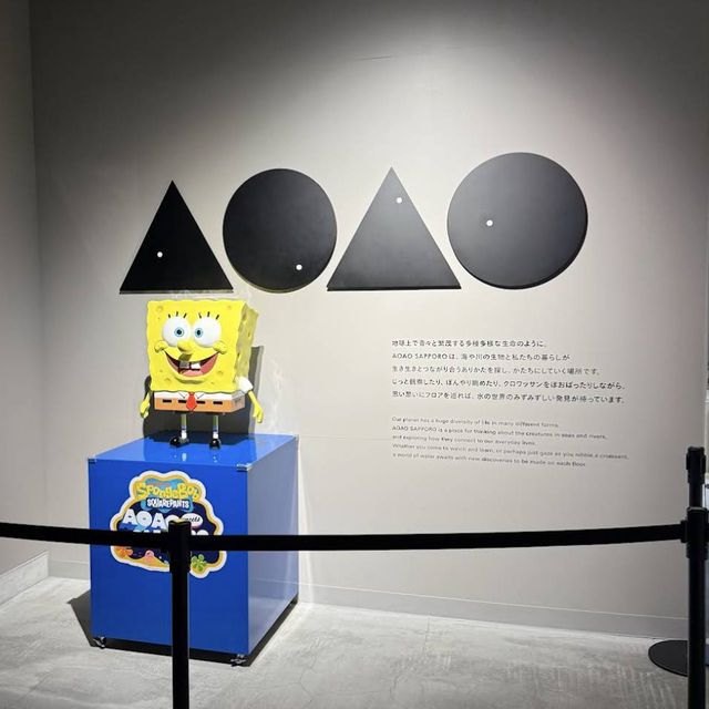 【北海道/札幌🇯🇵】都市の真ん中に現れた、夜まで楽しめるアート🐟 AOAO SAPPORO